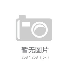 文登威力工具集團(tuán)有限公司 2019年企業(yè)社會(huì)責(zé)任報(bào)告